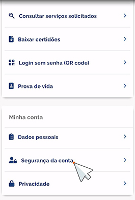segurança da conta gov.br
