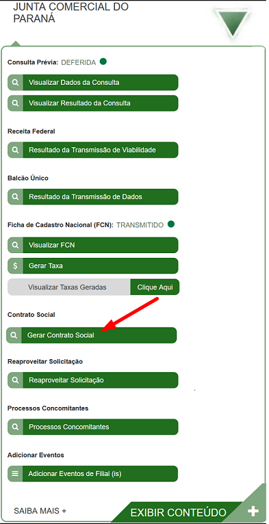 processoo eletronicoo