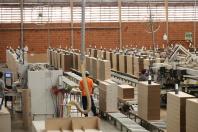 Paraná registra crescimento de 14,16% no saldo de novas empresas em 2025