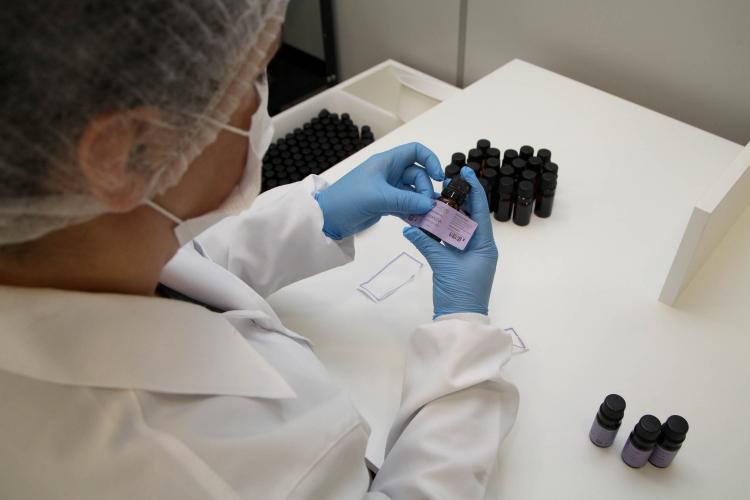 Paraná fecha terceiro trimestre com saldo positivo de 148 mil novas empresas e alta de 23,8%
