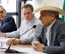 reunião extraordinária Conselho Jucepar