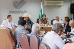 reunião extraordinária Conselho Jucepar