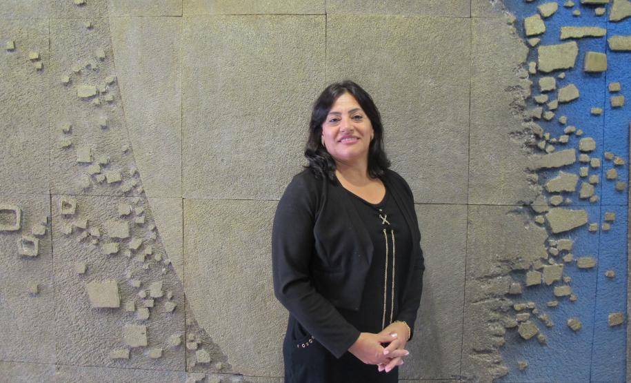 Evento teve o objetivo de atualizar Vogais e Relatores em relação à legislação pertinente ao setor.