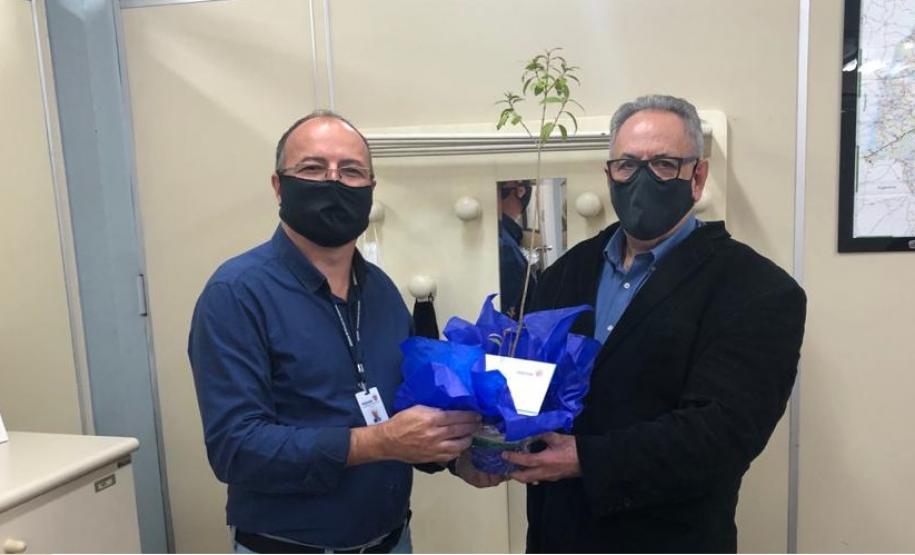 Voluntariado Dia do Voluntariado